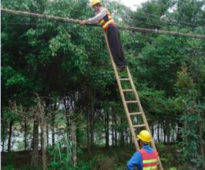 1542095016273302.png 053c6343500362c470ebdc84d9cdba8.png