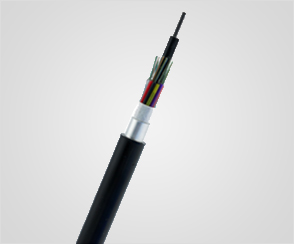 1543061834484684.jpg 1.jpg